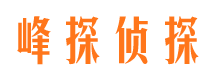 壤塘市婚姻调查